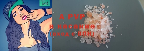 твердый Вяземский
