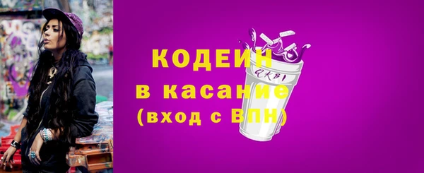 твердый Вяземский