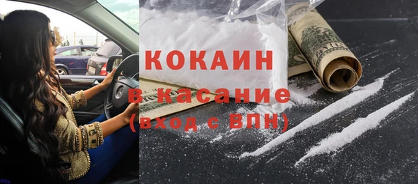 твердый Вяземский