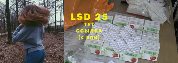 твердый Вяземский