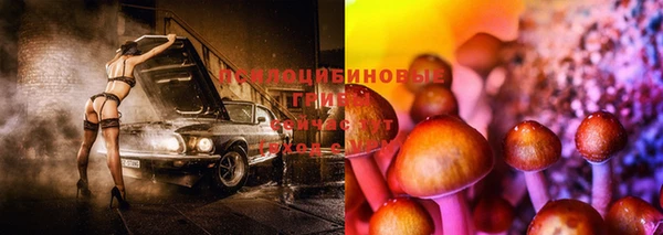 метадон Горнозаводск